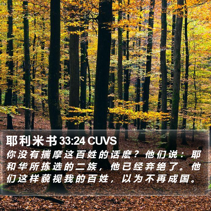 耶 利 米 书 33:24 CUVS Bible Study