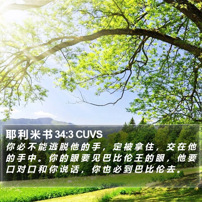 耶 利 米 书 34:3 CUVS Bible Study