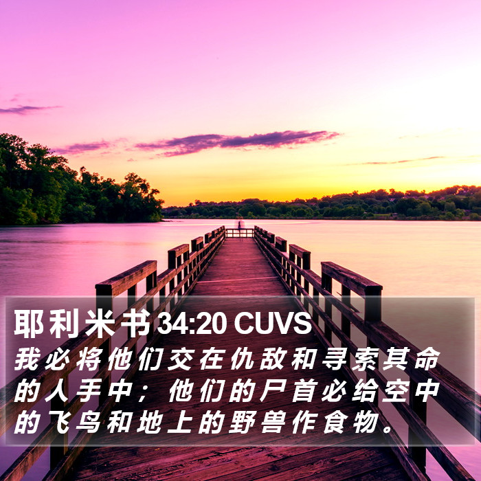 耶 利 米 书 34:20 CUVS Bible Study