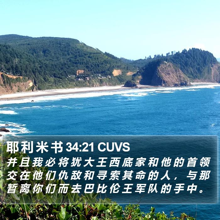 耶 利 米 书 34:21 CUVS Bible Study