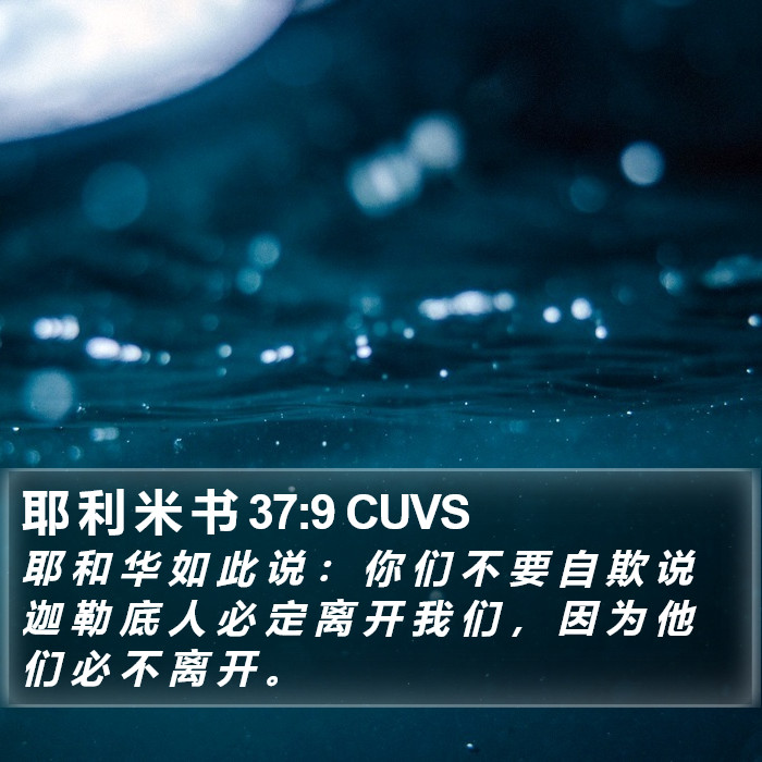 耶 利 米 书 37:9 CUVS Bible Study