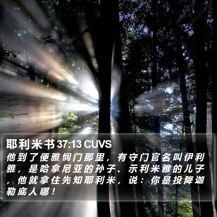 耶 利 米 书 37:13 CUVS Bible Study