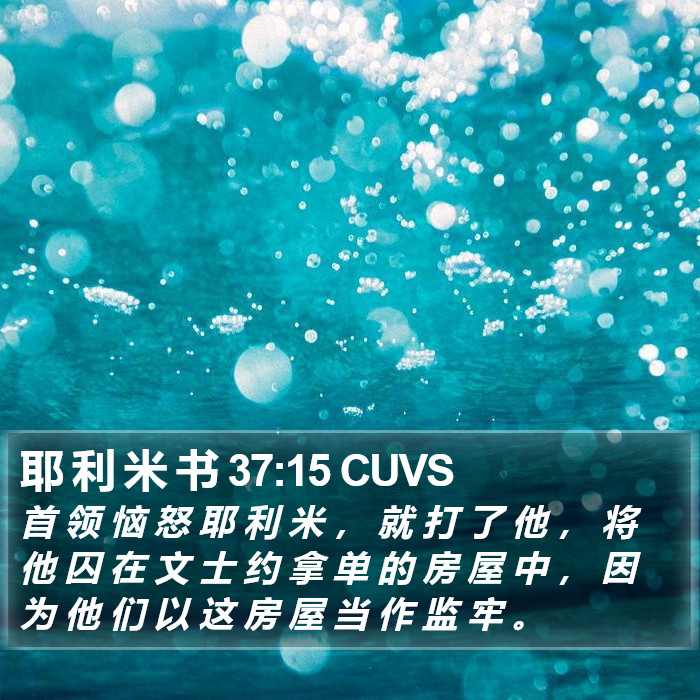 耶 利 米 书 37:15 CUVS Bible Study