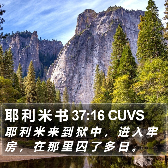 耶 利 米 书 37:16 CUVS Bible Study