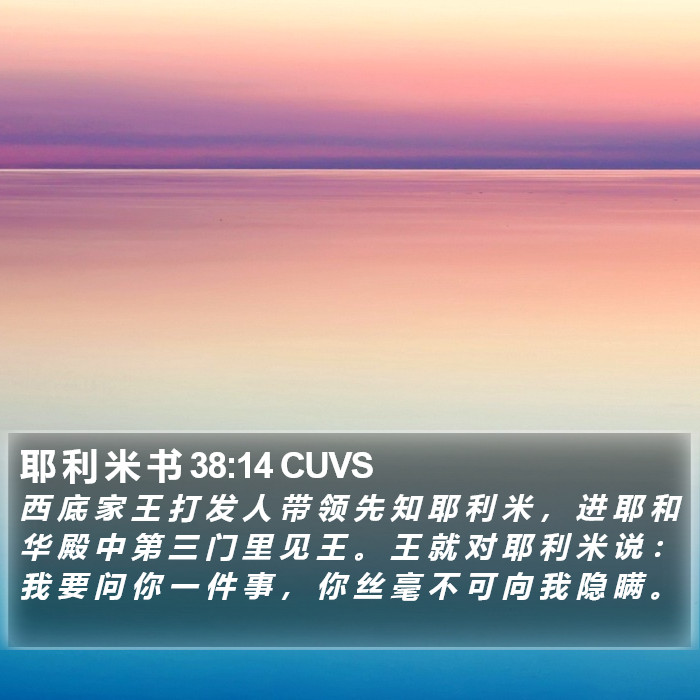 耶 利 米 书 38:14 CUVS Bible Study