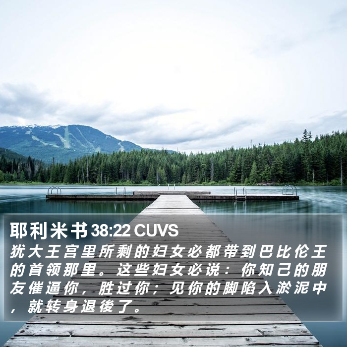 耶 利 米 书 38:22 CUVS Bible Study