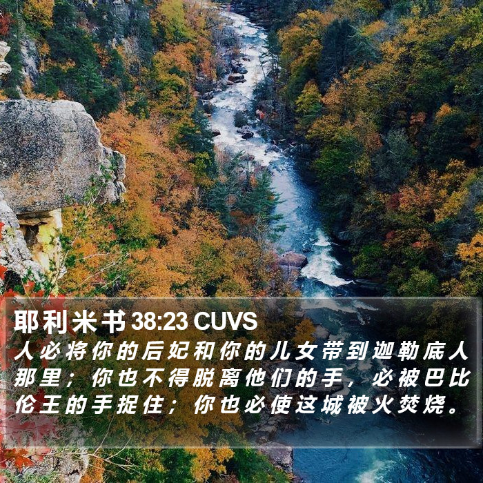 耶 利 米 书 38:23 CUVS Bible Study