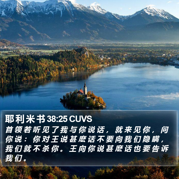 耶 利 米 书 38:25 CUVS Bible Study