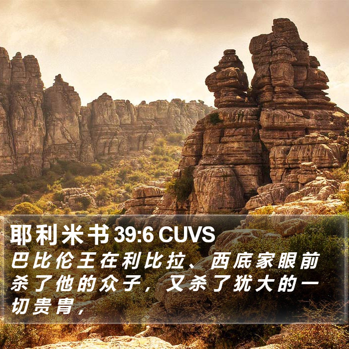 耶 利 米 书 39:6 CUVS Bible Study