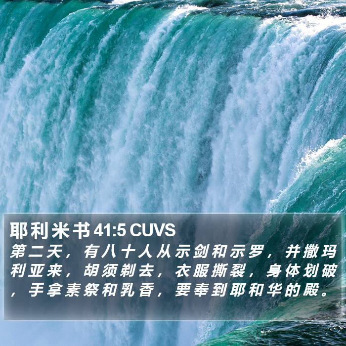 耶 利 米 书 41:5 CUVS Bible Study