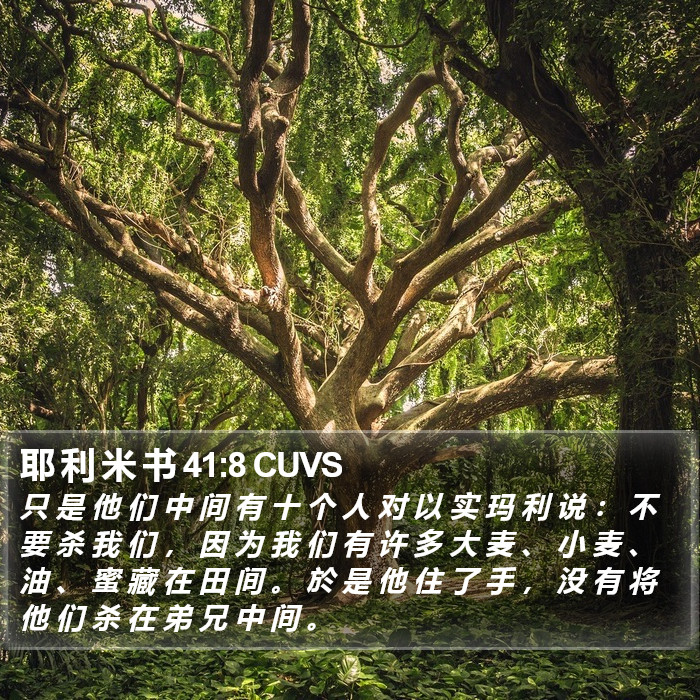 耶 利 米 书 41:8 CUVS Bible Study