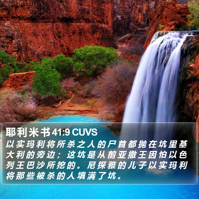 耶 利 米 书 41:9 CUVS Bible Study
