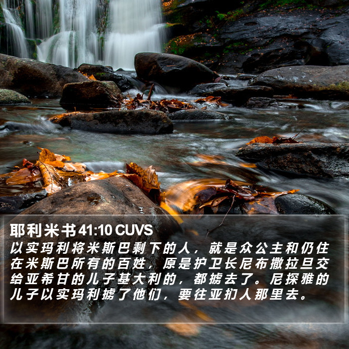 耶 利 米 书 41:10 CUVS Bible Study