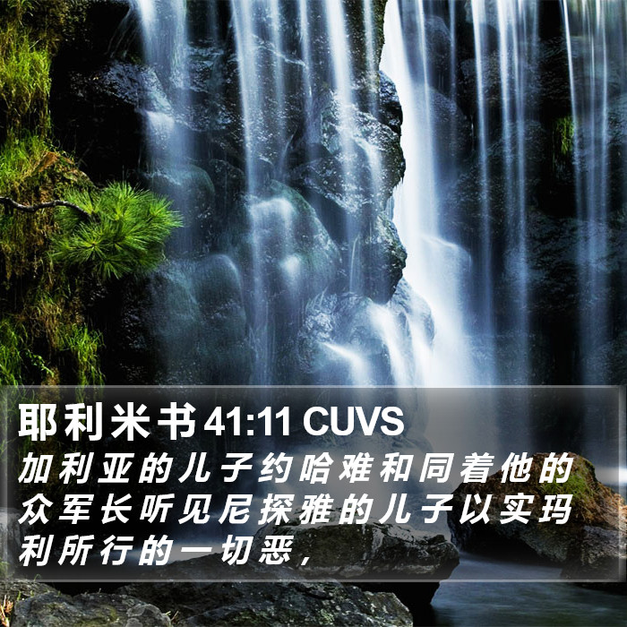 耶 利 米 书 41:11 CUVS Bible Study