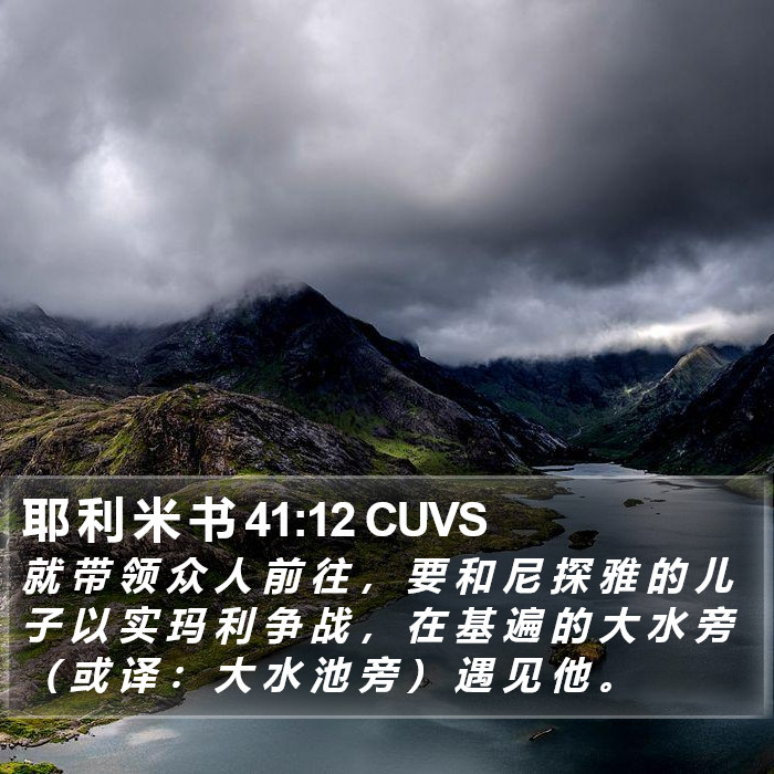 耶 利 米 书 41:12 CUVS Bible Study