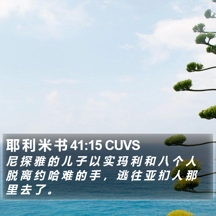 耶 利 米 书 41:15 CUVS Bible Study