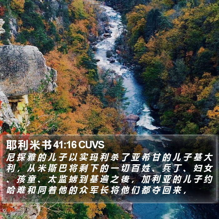 耶 利 米 书 41:16 CUVS Bible Study