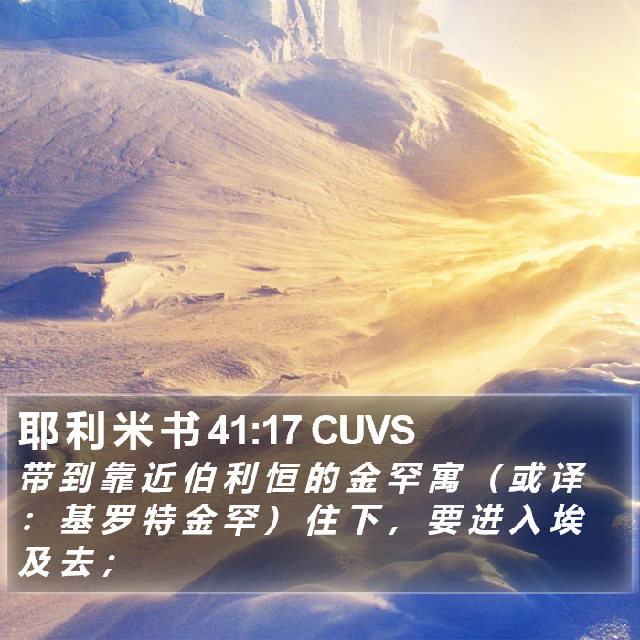 耶 利 米 书 41:17 CUVS Bible Study