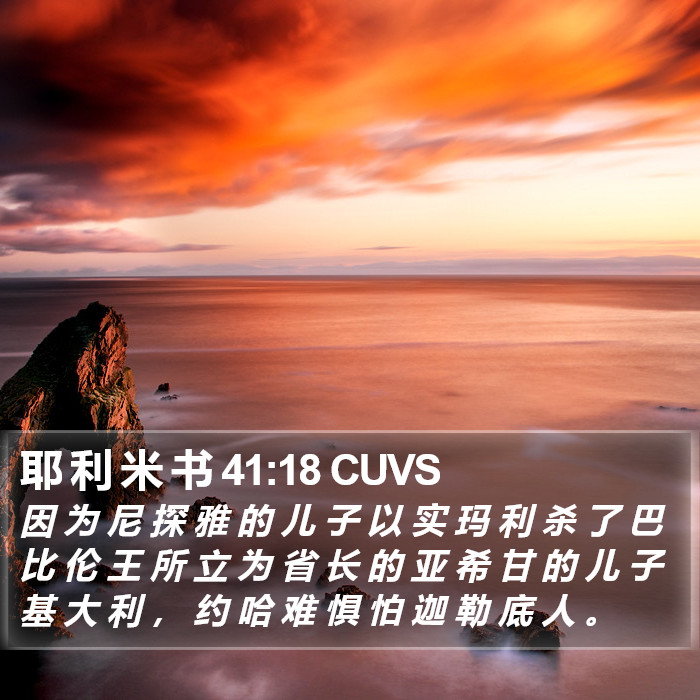 耶 利 米 书 41:18 CUVS Bible Study