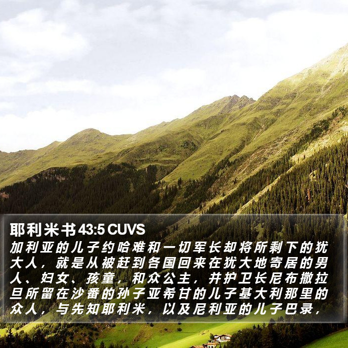 耶 利 米 书 43:5 CUVS Bible Study