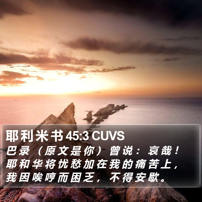 耶 利 米 书 45:3 CUVS Bible Study