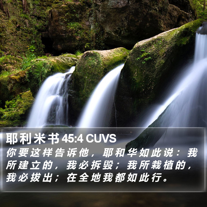 耶 利 米 书 45:4 CUVS Bible Study