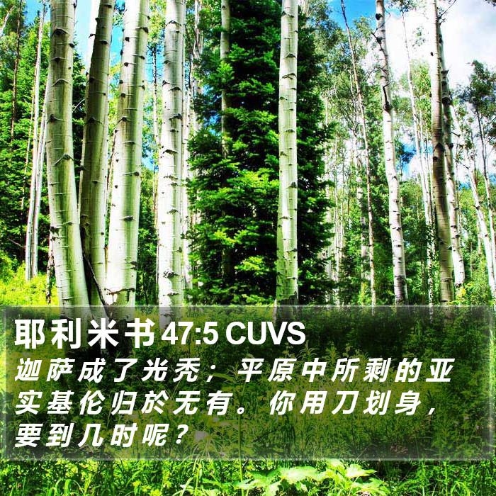 耶 利 米 书 47:5 CUVS Bible Study