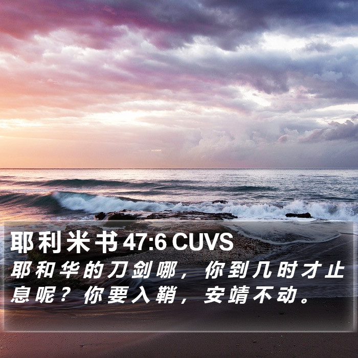 耶 利 米 书 47:6 CUVS Bible Study