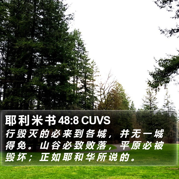耶 利 米 书 48:8 CUVS Bible Study