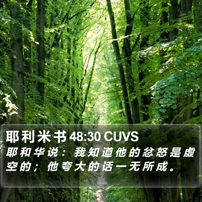 耶 利 米 书 48:30 CUVS Bible Study