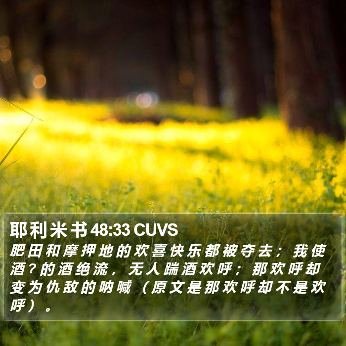 耶 利 米 书 48:33 CUVS Bible Study