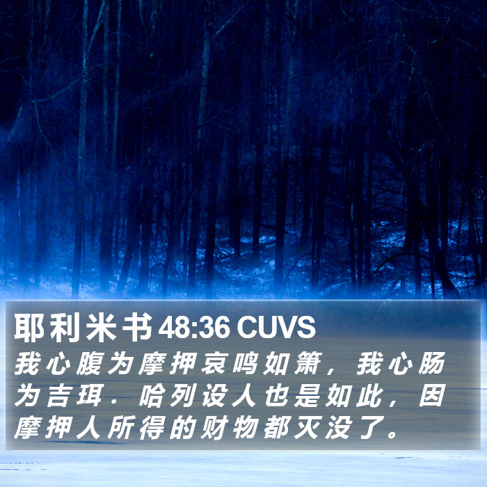 耶 利 米 书 48:36 CUVS Bible Study