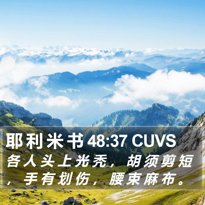 耶 利 米 书 48:37 CUVS Bible Study