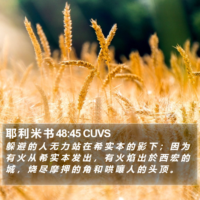 耶 利 米 书 48:45 CUVS Bible Study