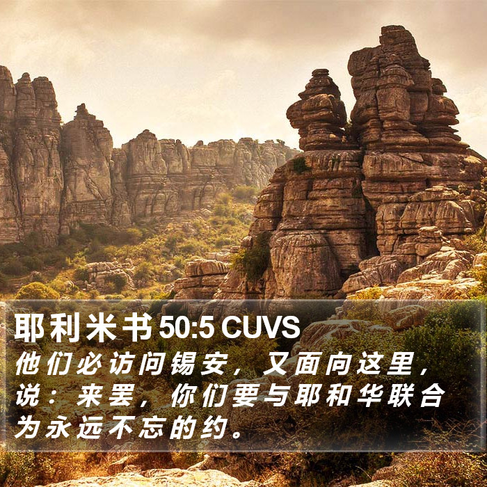 耶 利 米 书 50:5 CUVS Bible Study