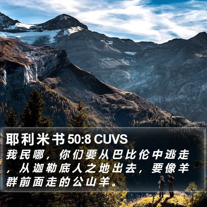 耶 利 米 书 50:8 CUVS Bible Study