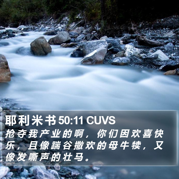 耶 利 米 书 50:11 CUVS Bible Study