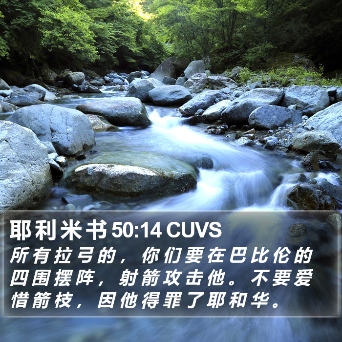 耶 利 米 书 50:14 CUVS Bible Study