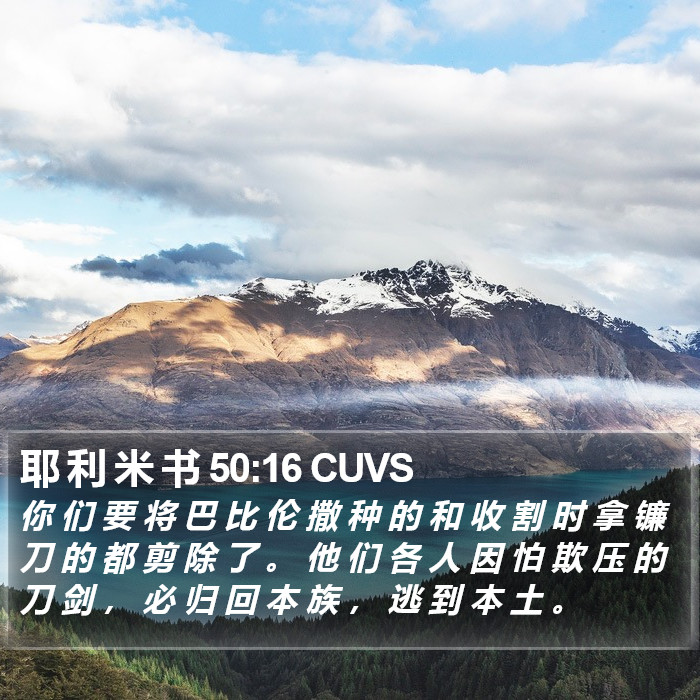 耶 利 米 书 50:16 CUVS Bible Study