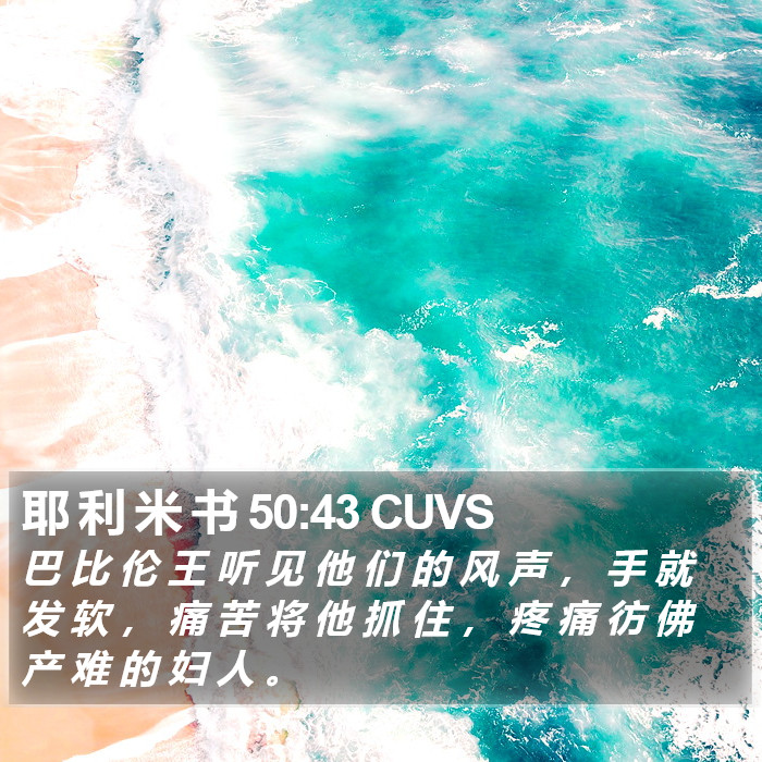 耶 利 米 书 50:43 CUVS Bible Study