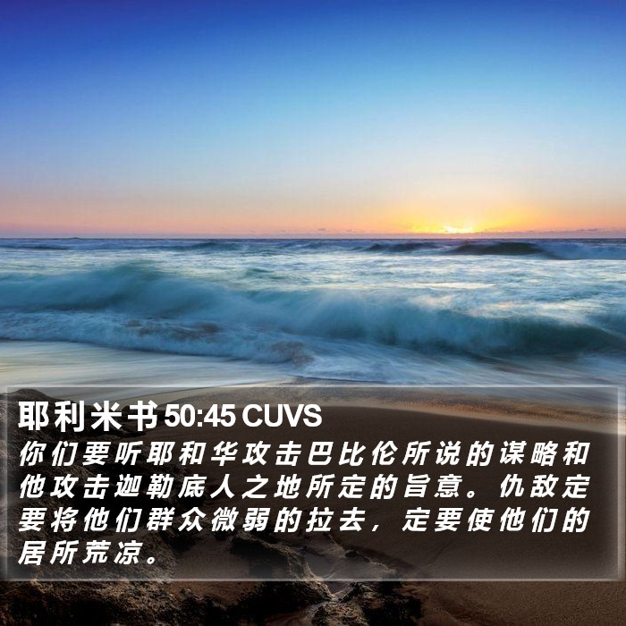 耶 利 米 书 50:45 CUVS Bible Study