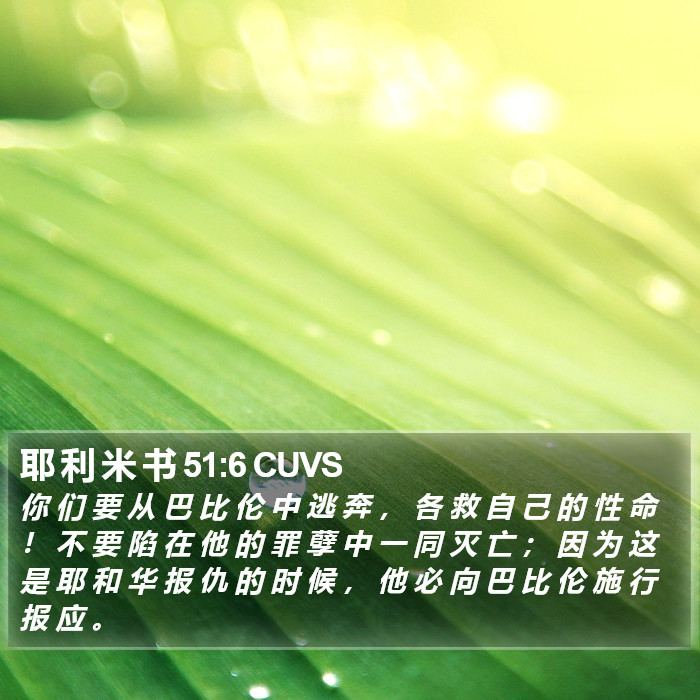 耶 利 米 书 51:6 CUVS Bible Study