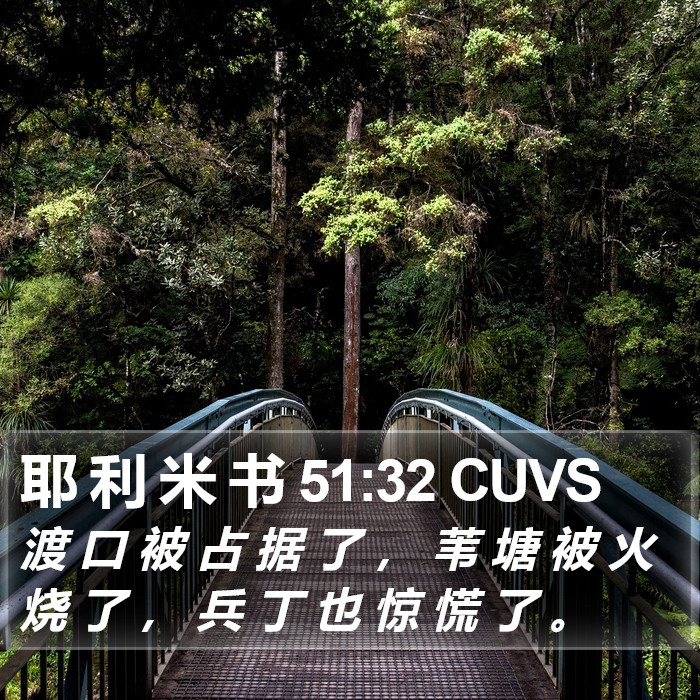 耶 利 米 书 51:32 CUVS Bible Study