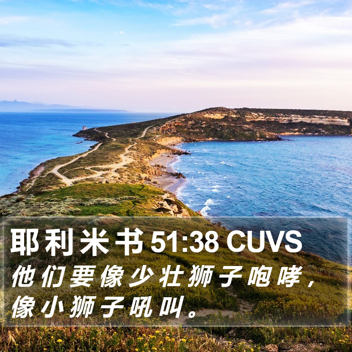 耶 利 米 书 51:38 CUVS Bible Study