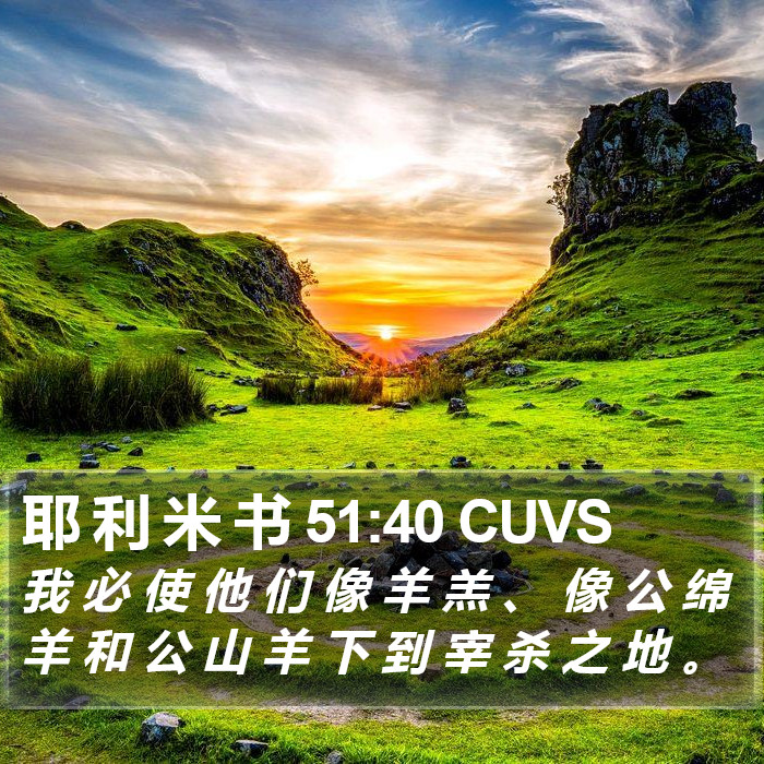 耶 利 米 书 51:40 CUVS Bible Study