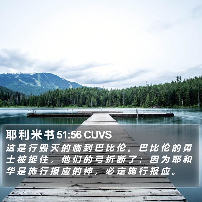 耶 利 米 书 51:56 CUVS Bible Study