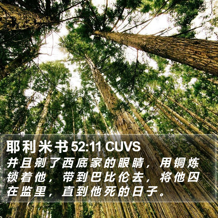 耶 利 米 书 52:11 CUVS Bible Study