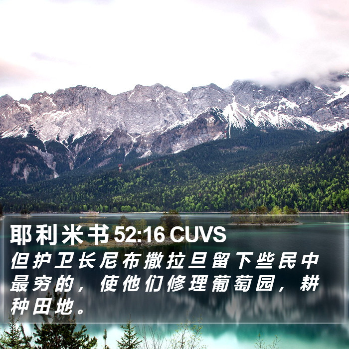 耶 利 米 书 52:16 CUVS Bible Study