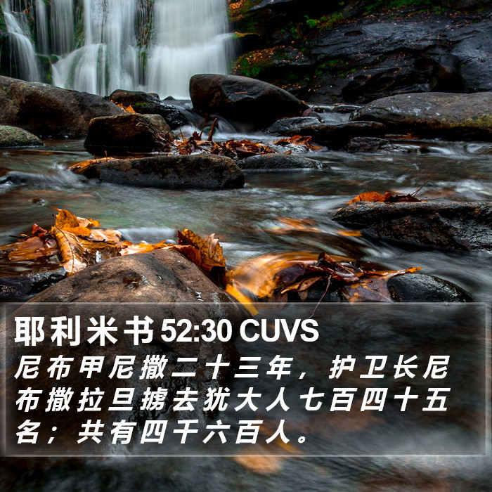 耶 利 米 书 52:30 CUVS Bible Study