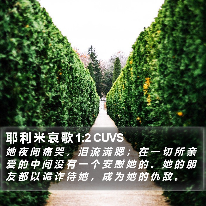 耶 利 米 哀 歌 1:2 CUVS Bible Study